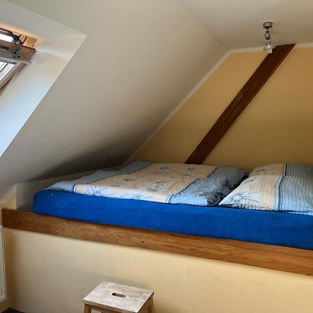 Ubytování Chotěvice Hostinné Exterior foto