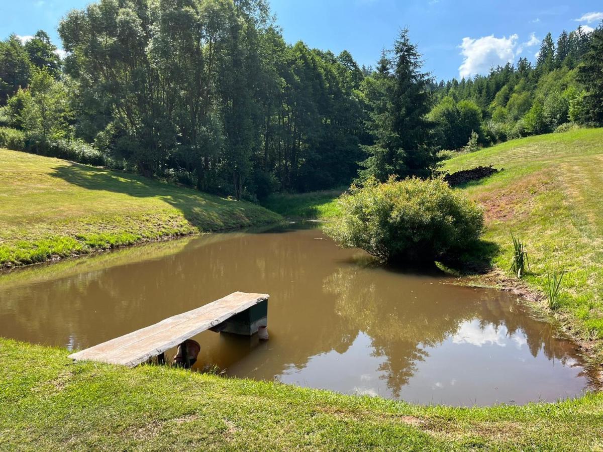 Ubytování Chotěvice Hostinné Exterior foto